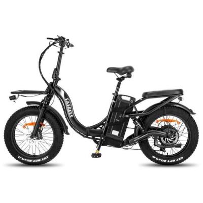 FAFREES V&eacute;lo &eacute;lectrique  F20 X-MAX - Moteur 750W Batterie 48V30AH Assisted Autonomie 180KM Frein &agrave; Disque Hydraulique - Noir - Neuf