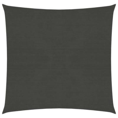 VIDAXL  Voile D'ombrage 160 G/M&sup2; Anthracite 7x7 M Pehd
