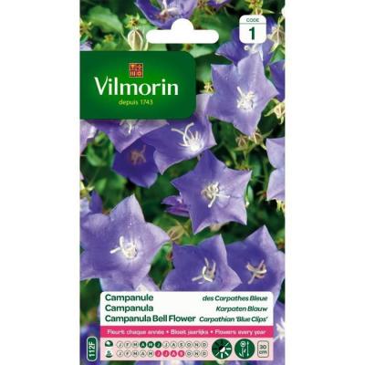 VILMORIN  - Sachet graines Campanule des carpathes bleue