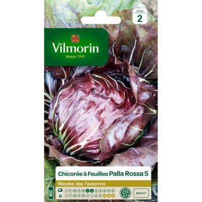 VILMORIN  Chicor&eacute;e &agrave; larges feuilles Palla Rossa