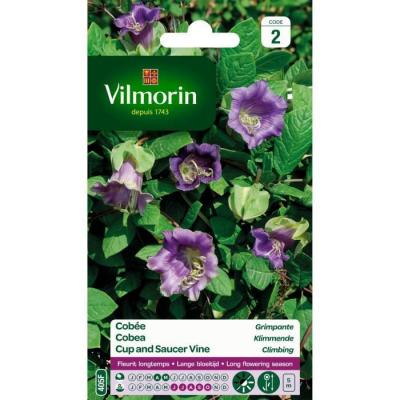 VILMORIN  5233242 Cob&eacute;e grimpante, Violet, 90 x 2 x 160 cm