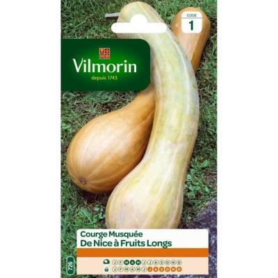 VILMORIN  Courge de Nice a fruit long