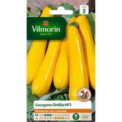 VILMORIN  - Sachet graines Courgette Orelia HF1
