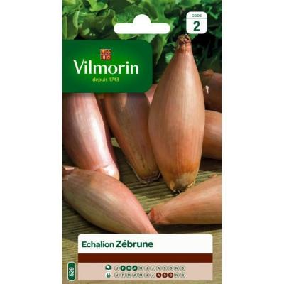VILMORIN Graines Echalion Zebrune 