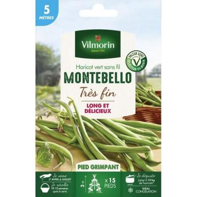 VILMORIN Graine -  - Haricot Grimpant Vert Montebello - 5 m