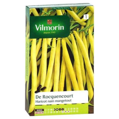 VILMORIN Graines de Haricot Nain Beurre Rocquencourt 