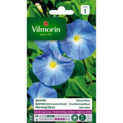 VILMORIN  5323541 Ipom&eacute;e &agrave; Grande Fleur, Bleu, 90 x 2 x 160 cm
