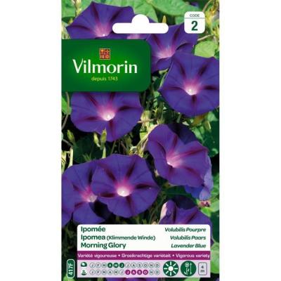 VILMORIN  - Ipom&eacute;e Volubilis Pourpre