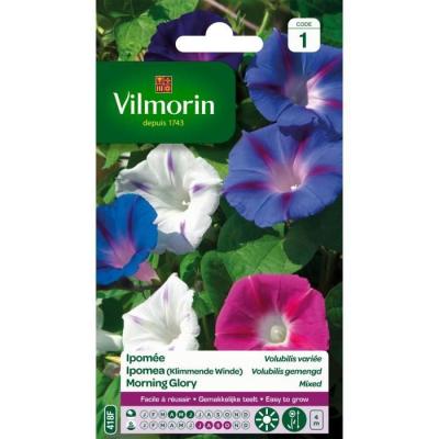 VILMORIN  - Sachet graines Ipom&eacute;e Volubilis Vari&eacute;e