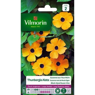 VILMORIN  Sachet graines Thunbergia Alata Suzanne aux Yeux Noirs
