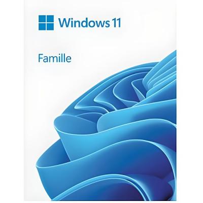 MICROSOFT Windows 11 Famille - Licence perp&eacute;tuelle - 1 poste - A t&eacute;l&eacute;charger