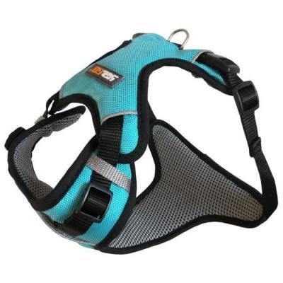 AIME Yago Harnais Sport - Taille L 80-105 Cm - Bleu - Pour Grand Chien