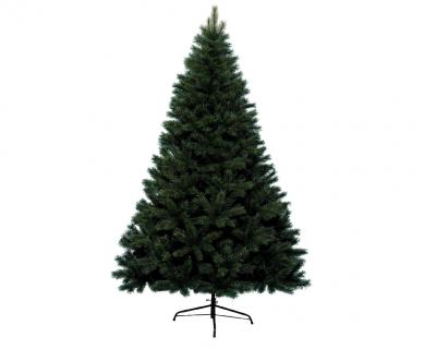 Sapin Canada - hauteur 150cm - 493 branches 
