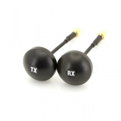 ACME THE GAME COMPANY Kit de 2 Antennes radio Phoenix CPL Mushroom RP-SMA Male TX et RX (&eacute;mission/r&eacute;ception)