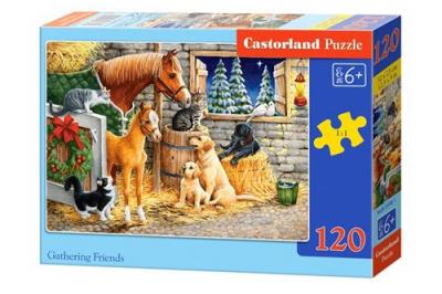CASTORLAND  Gathering Friends, puzzle 120 parties - - Puzzle