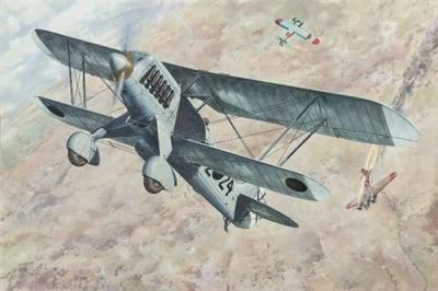  Maquette avion Roden Heinkel He 51B-1- 1/48 - Maquette d'avion