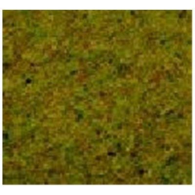 NOCH Herbage &agrave; r&eacute;pandre prairie d&eacute;t&eacute;  50190 vert moyen 100 g