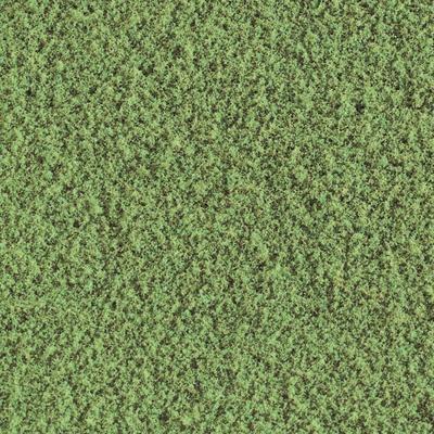WOODLAND SCENICS Flocage flocage dherbe br&ucirc;l&eacute;e  WT44 herbe br&ucirc;l&eacute;e 50 g