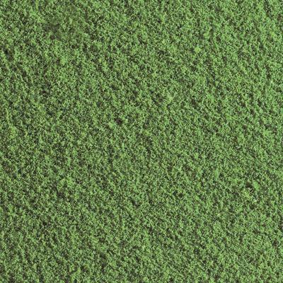WOODLAND SCENICS  Flocage Prairie WT45 Vert Moyen 50 g