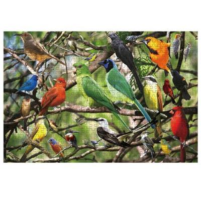  Puzzle 500 Pi&egrave;ces Des Oiseaux Pour Enfants Adultes Multicolore W9 