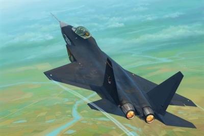  Maquette avion Trumpeter Shenyang chinois J-31 Gyrfalcon Chinois J-31