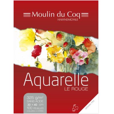 HAHNEMUHLE Bloc aquarelle Le Rouge 325g/m2 100feuilles grain fin 30x40cm -