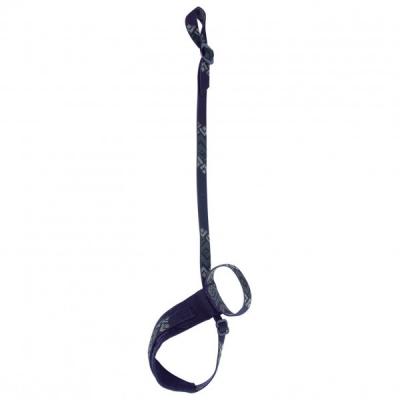 BLACK DIAMOND Leash Lockdown -  