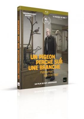 Un Pigeon perch&eacute; sur une branche philosophait sur l'existence Blu-ray