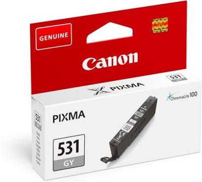 CANON Cartouche d'encre  Pixma Chroma Life 100 TS8750 S/BL Gris 