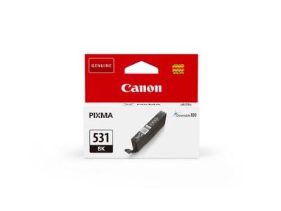 CANON Cartouche d'encre  Pixma Chroma Life 100 TS8750 S/BL Noir 