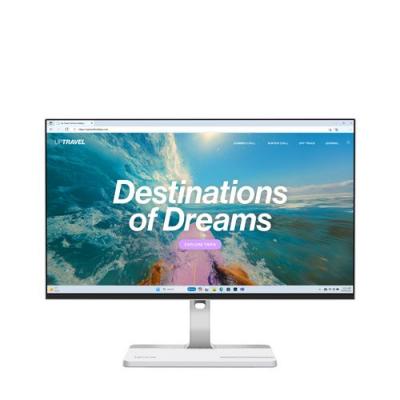 LENOVO Ecran PC  L24D-4C 23,8"" Full HD Gris Nuage