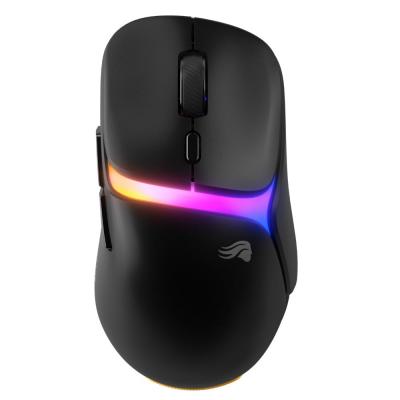 GLORIOUS PC GAMING RACE Glorious Model D3 Wireless (Noir)