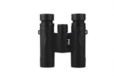 ID JUMELLES COMPACTES 10 x 25 TRAVEL