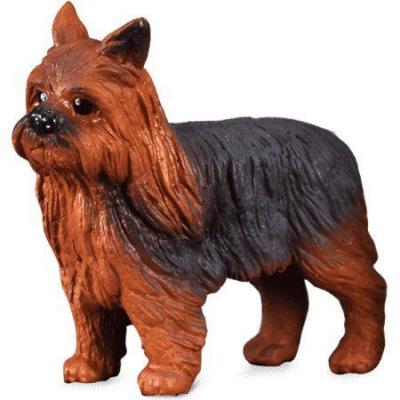 COLLECTA Figurine Chien : Yorkshire Terrier - Figurine en plastique peinte &agrave; la main 