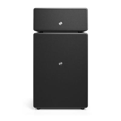 AUDIO PRO Enceinte sans fil  Bluetooh Drumfire II Noir