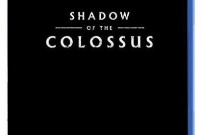 SHADOW OF THE COLOSSUS FR/NL PlayStation 4 