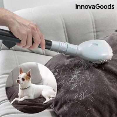 INNOVAGOODS Brosse Enl&egrave;vePoils pour Aspirateur  Vert