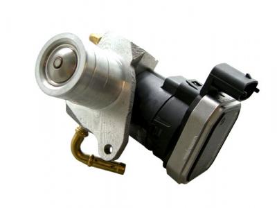 PIERBURG  7.24809.71.0 Vanne Egr pour Ford
