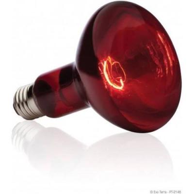 EXO TERRA Exoterra &Eacute;clairage pour Reptiles Lampe Infrared Basking Spot 75 W