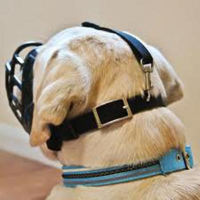 BASKERVILLE Cie Animals - Museli&egrave;re  Ultra Muzzle - Taille 6