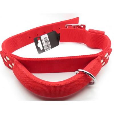 ZOLUX Collier en Nylon &agrave; poign&eacute;e Ronde 65cm Rouge