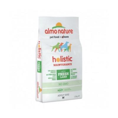 ALMO NATURE HOLISTIC Almo Nature Adult Medium, saumon & riz - lot % : 2 x 12 kg