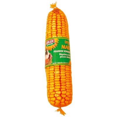 ZOLUX  Friandise Epi de Ma&iuml;s pour Rongeur 115 g