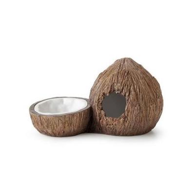 EXO TERRA  Niche et &eacute;cuelle en Forme de Noix de Coco pour Reptiles