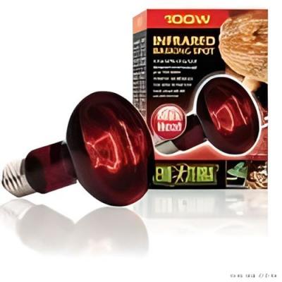 EXO TERRA Exoterra &Eacute;clairage pour Reptiles Lampe Infrared Basking Spot 100 W