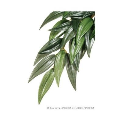 EXO TERRA Kit de d&eacute;coration ruscus plante 