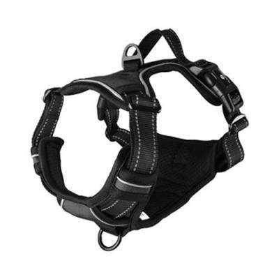 Harnais Balou Noir pour chien M 50-65 cm x 25 mm