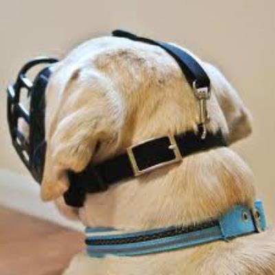 BASKERVILLE  Ultra Muzzle T-2 The Company Of Animals