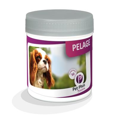 PET PHOS Pet-phos sp&eacute;cial pelage compl&eacute;ments alimentaires pour chiens
