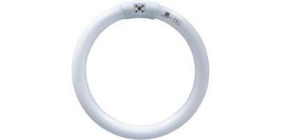  Anneau UV 22 W pour l'int&eacute;rieur Swissinno Lampe UVA 22 W TUBE_T6-22W 1 pc(s)